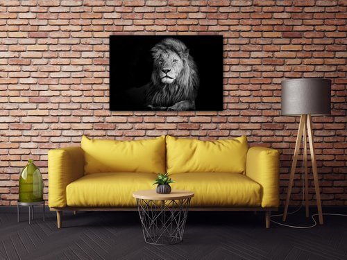 Obraz Lion black and white - 90 x 60 cm