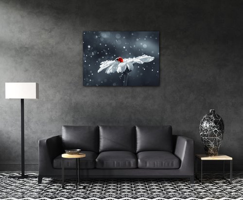 Obraz Lady bug on the flower - 70 x 50 cm