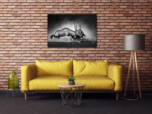 Obraz Antilopes black and white - 90 x 60 cm
