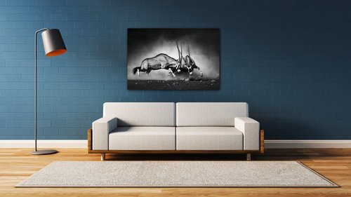 Obraz Antilopes black and white - 90 x 60 cm