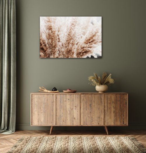 Obraz Dry flowers detail - 60 x 40 cm