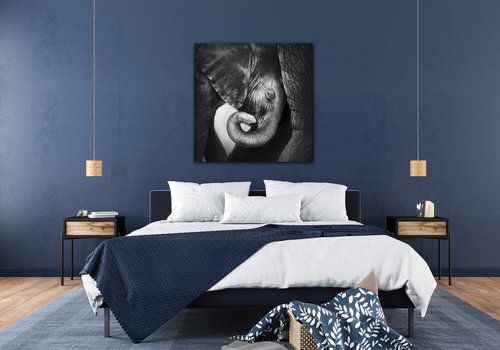 Obraz Elephant black and white - 90 x 90 cm