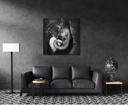 Obraz Elephant black and white - 90 x 90 cm