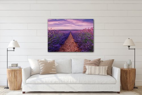 Obraz Lavender field - 70 x 50 cm