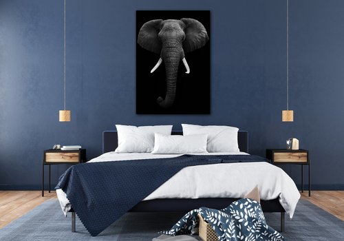 Obraz Elephant dark - 50 x 70 cm