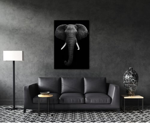 Obraz Elephant dark - 50 x 70 cm