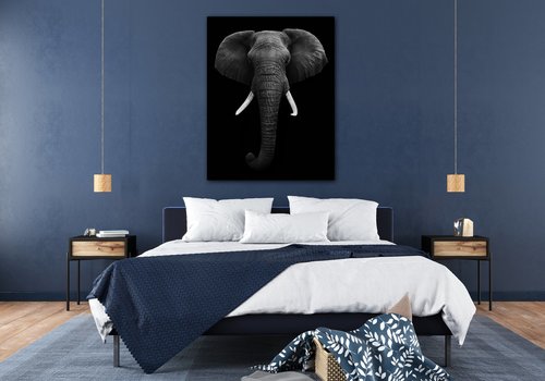 Obraz Elephant dark - 70 x 90 cm