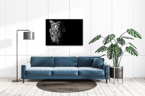 Obraz Tiger black and white - 70 x 50 cm