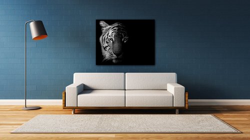 Obraz Tiger black and white - 90 x 70 cm