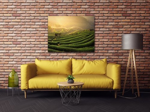 Obraz Sunrise On The Tea Plantation - 90 x 70 cm