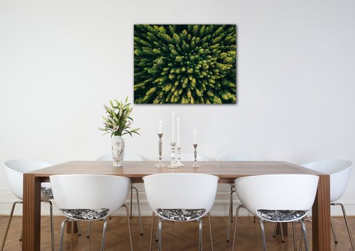 Obraz Forest - 90 x 70 cm