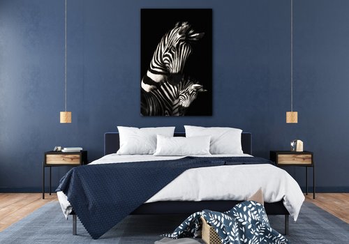 Obraz Zebras black and white - 60 x 90 cm