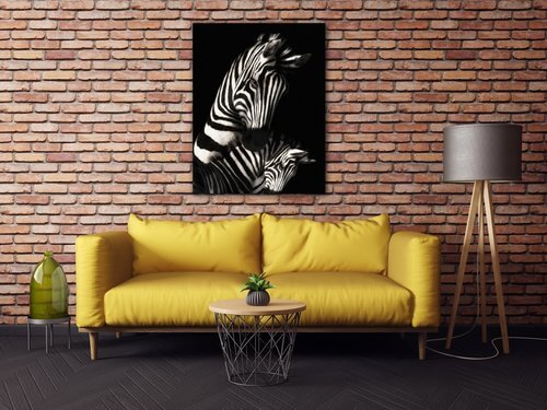 Obraz Zebras black and white - 70 x 90 cm
