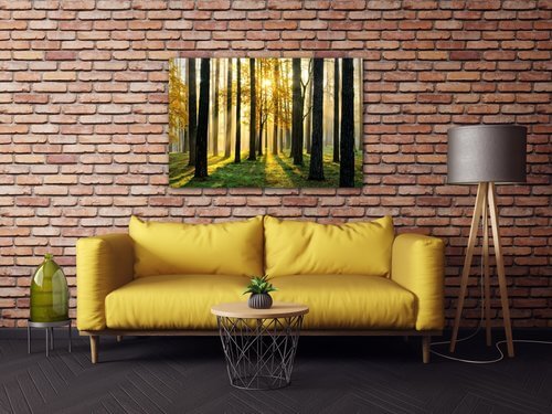 Obraz Trees and sunshine - 60 x 40 cm