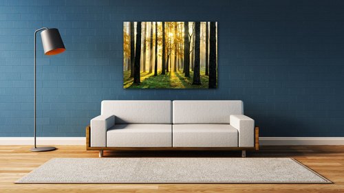 Obraz Trees and sunshine - 70 x 50 cm