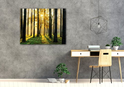 Obraz Trees and sunshine - 90 x 70 cm