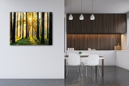 Obraz Trees and sunshine - 90 x 70 cm