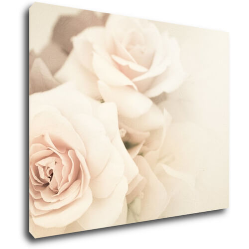 Obraz White roses - 90 x 70 cm
