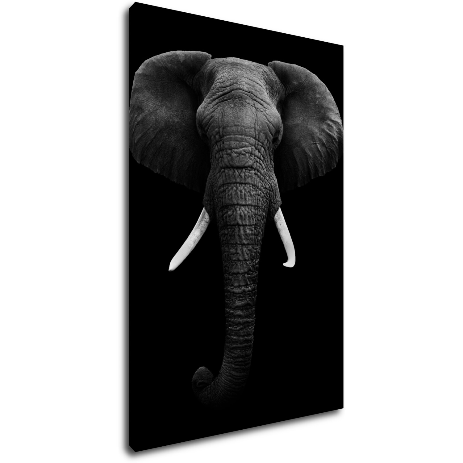 Obraz Elephant dark - 60 x 90 cm