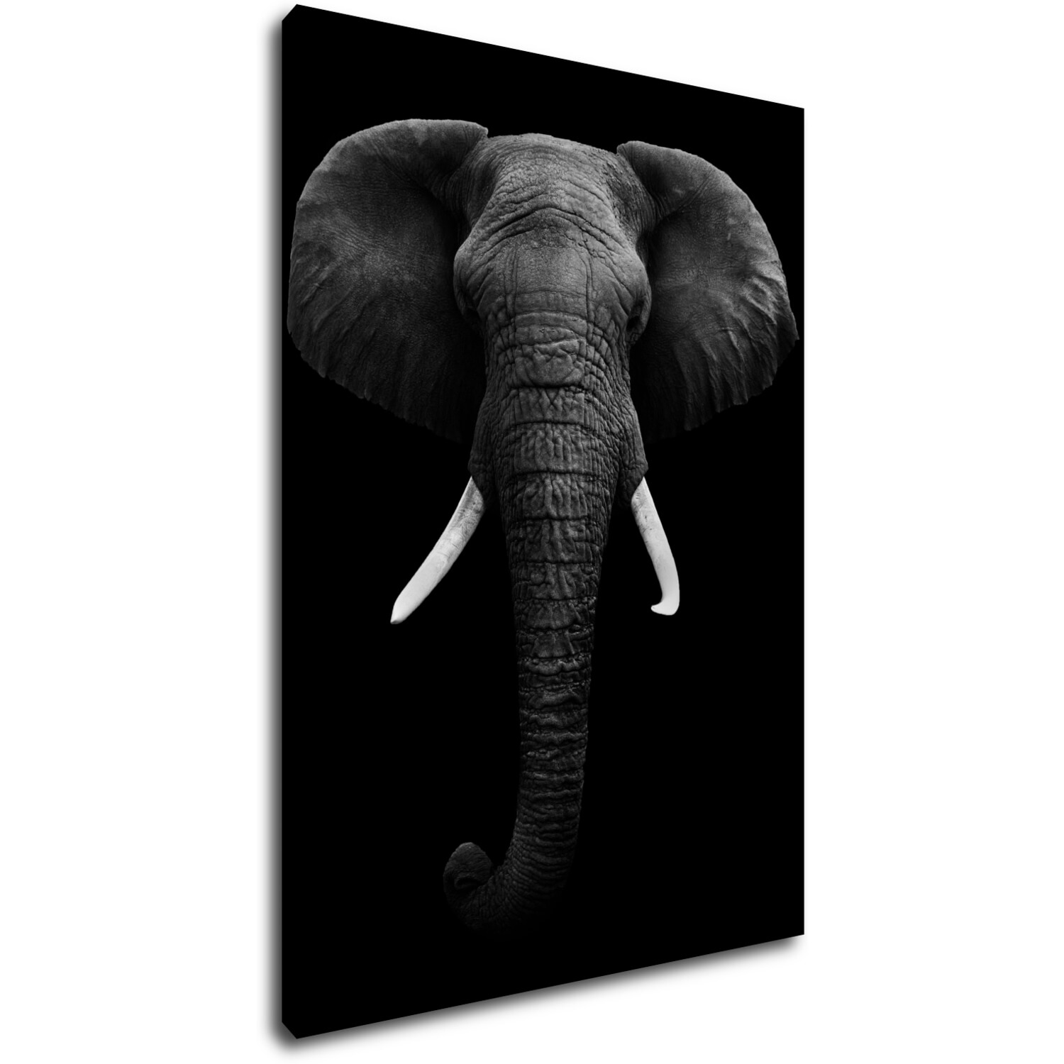 Obraz Elephant dark - 50 x 70 cm