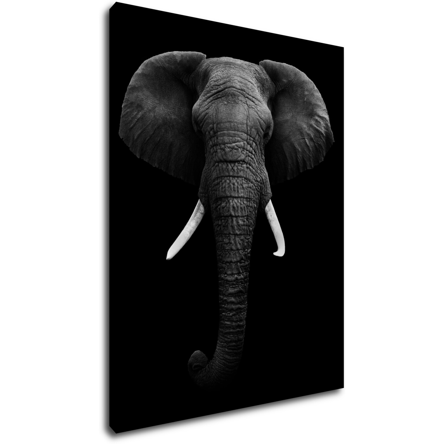 Obraz Elephant dark - 70 x 90 cm