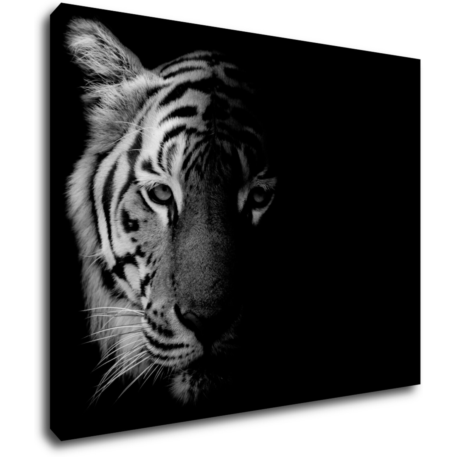 Obraz Tiger black and white - 90 x 70 cm