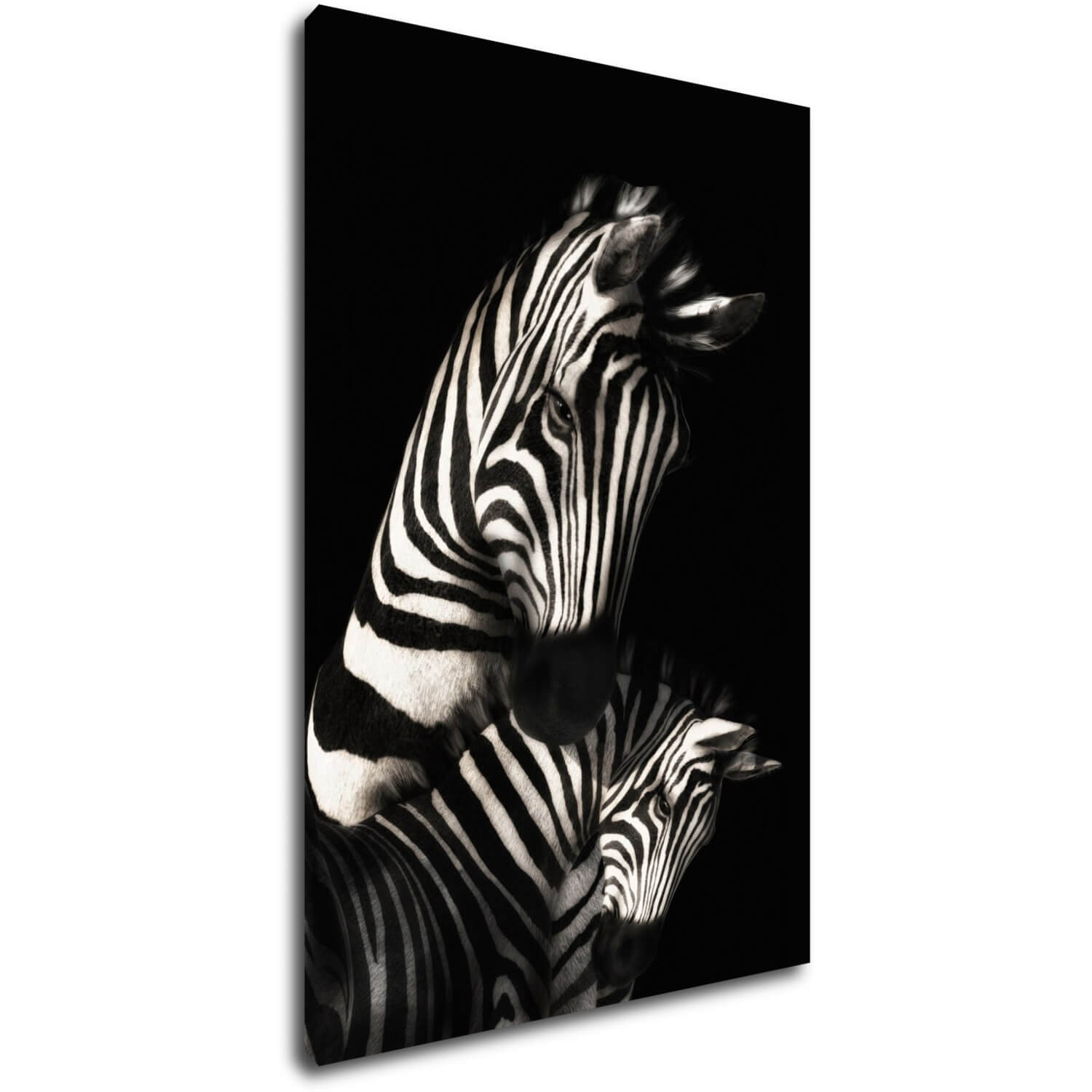 Obraz Zebras black and white - 60 x 90 cm
