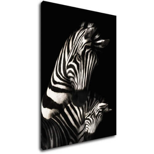 Obraz Zebras black and white - 50 x 70 cm